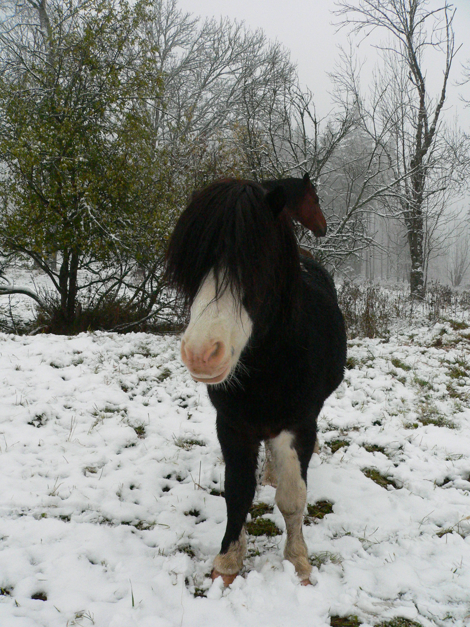 Sara 010.jpg