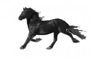 Obrazek