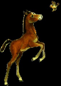 Obrazek